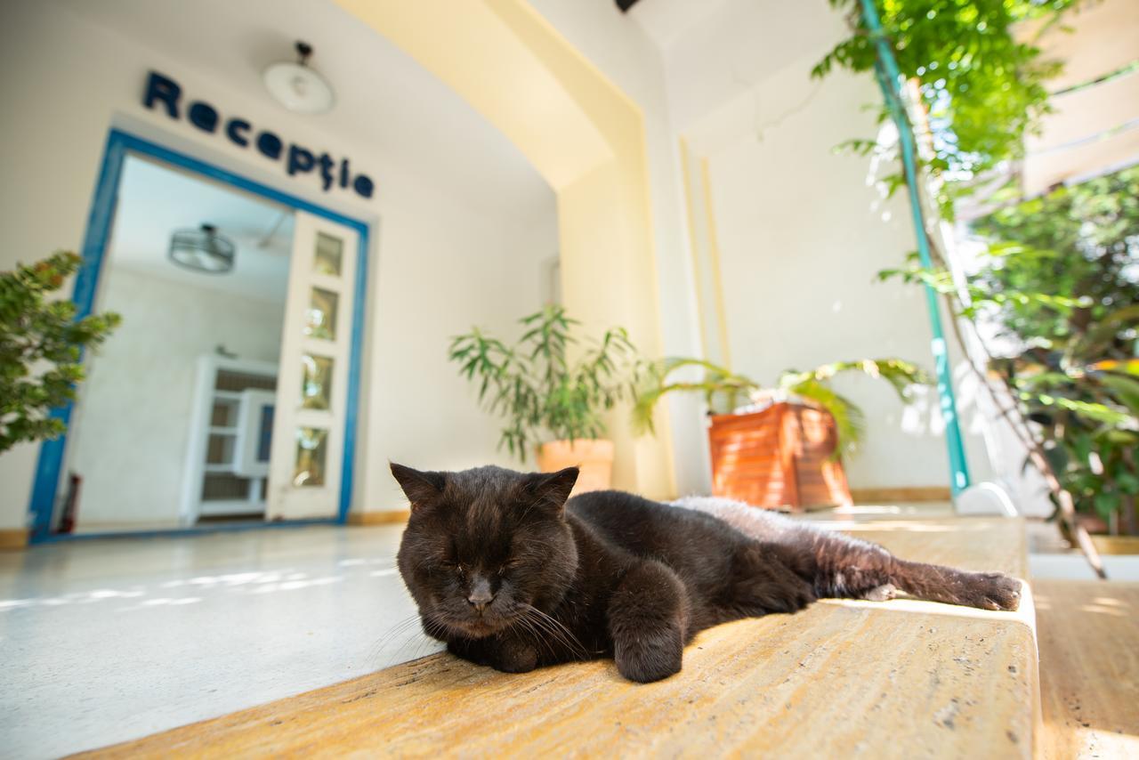 Villa Pontica Нэводари Экстерьер фото